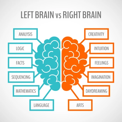 Brain left analytical and right creative hemispheres infographics set vector illustration