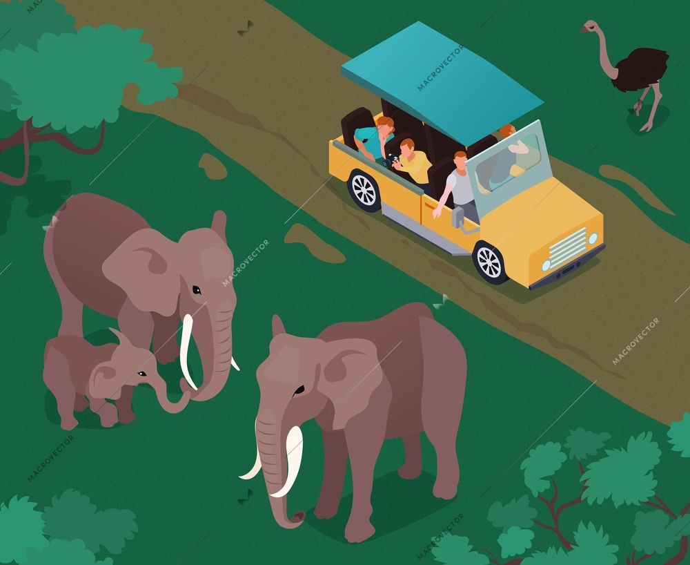 Isometric safari composition of outdoor scenery with wild elephants and camel bird with moving tourist car vector illustration