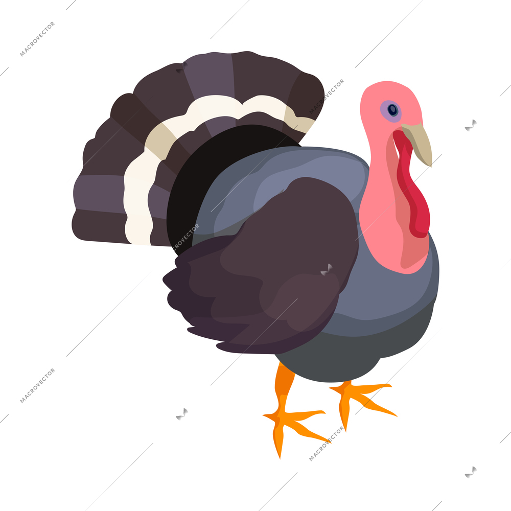 Local farm market isometric composition with isolated image of turkey on blank background vector illustration