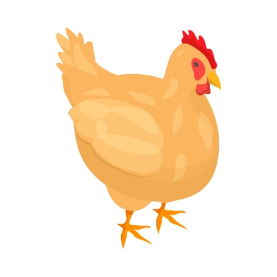 Local farm market isometric composition with isolated image of hen on blank background vector illustration
