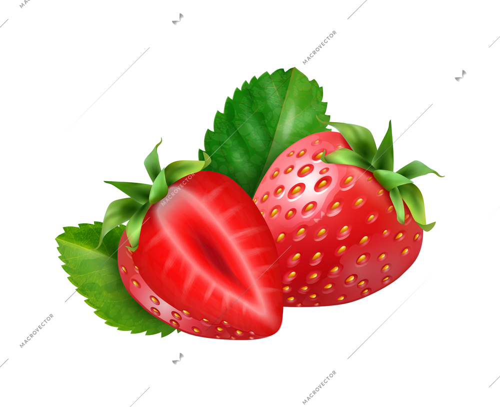 Realistic berries composition with isolated image of strawberry with ripe leaves on blank background vector illustration