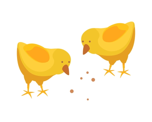 Chicken farm isometric composition with isolated image of two chicks picking seed on blank background vector illustration