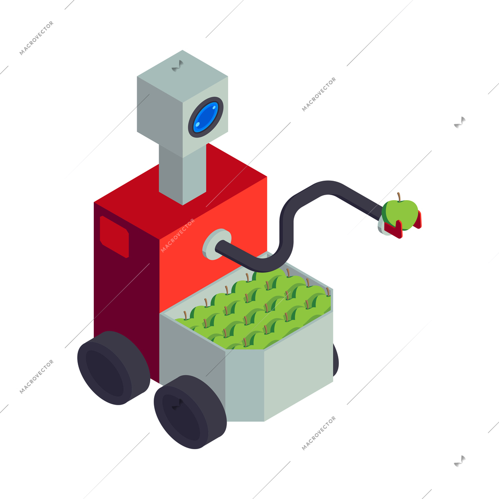 Isometric smart farm agriculture automation composition with robotic vehicle gathering apples with arm on blank background vector illustration