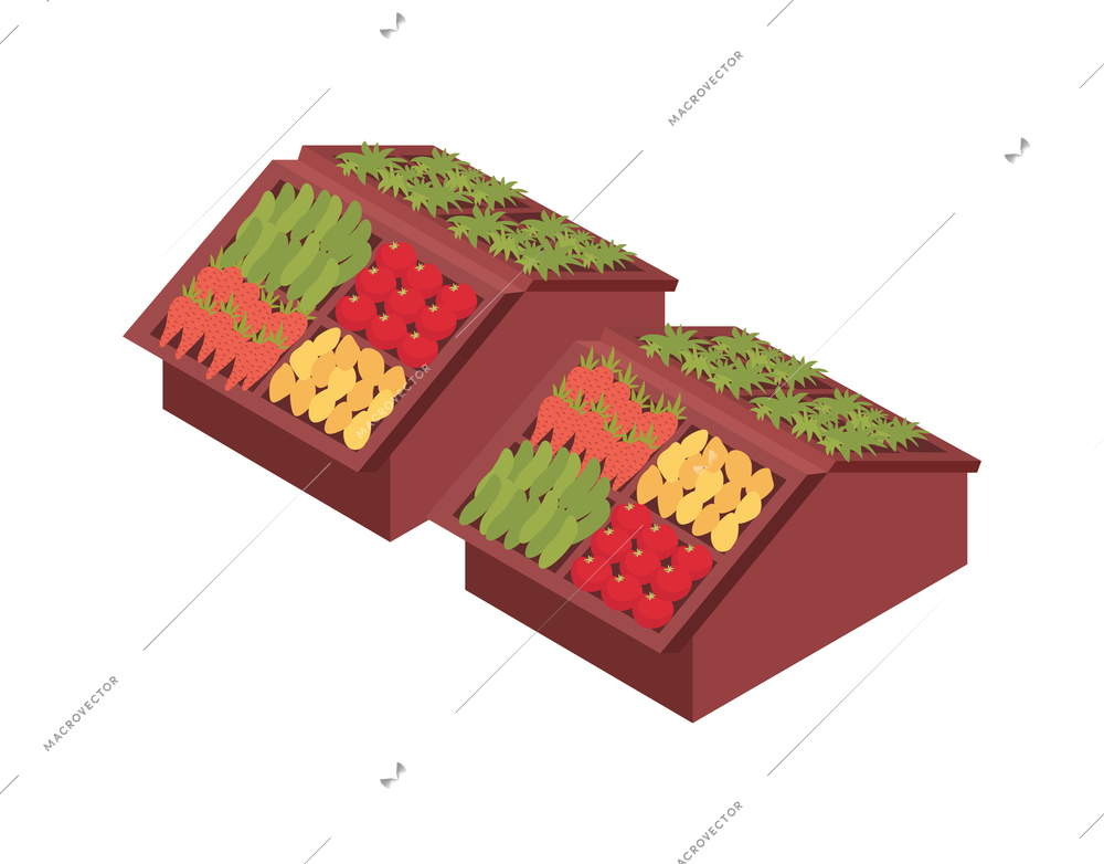 Supermarket isometric composition with isolated image of fruits on shelves on blank background vector illustration