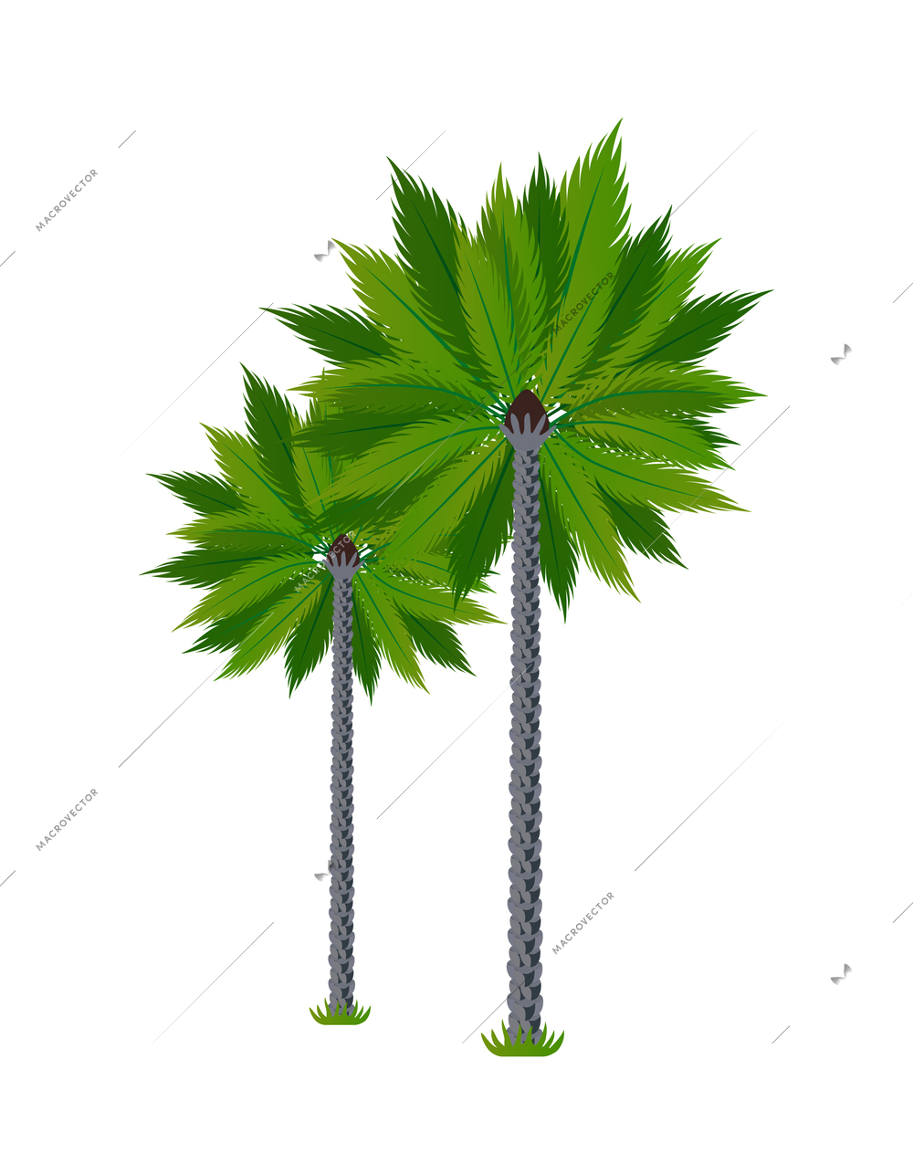 Colombia travel tourism composition with isolated image of coconut palm trees on blank background vector illustration