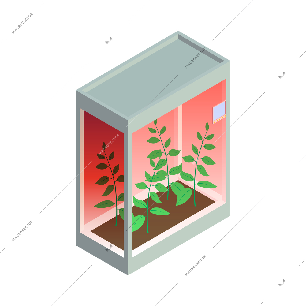 Isometric smart farm agriculture automation composition with isolated image of plant growing inside glass hothouse vector illustration