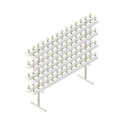 Modern greenhouse vertical farming isometric composition with isolated image of frame rack of growing plants vector illustration