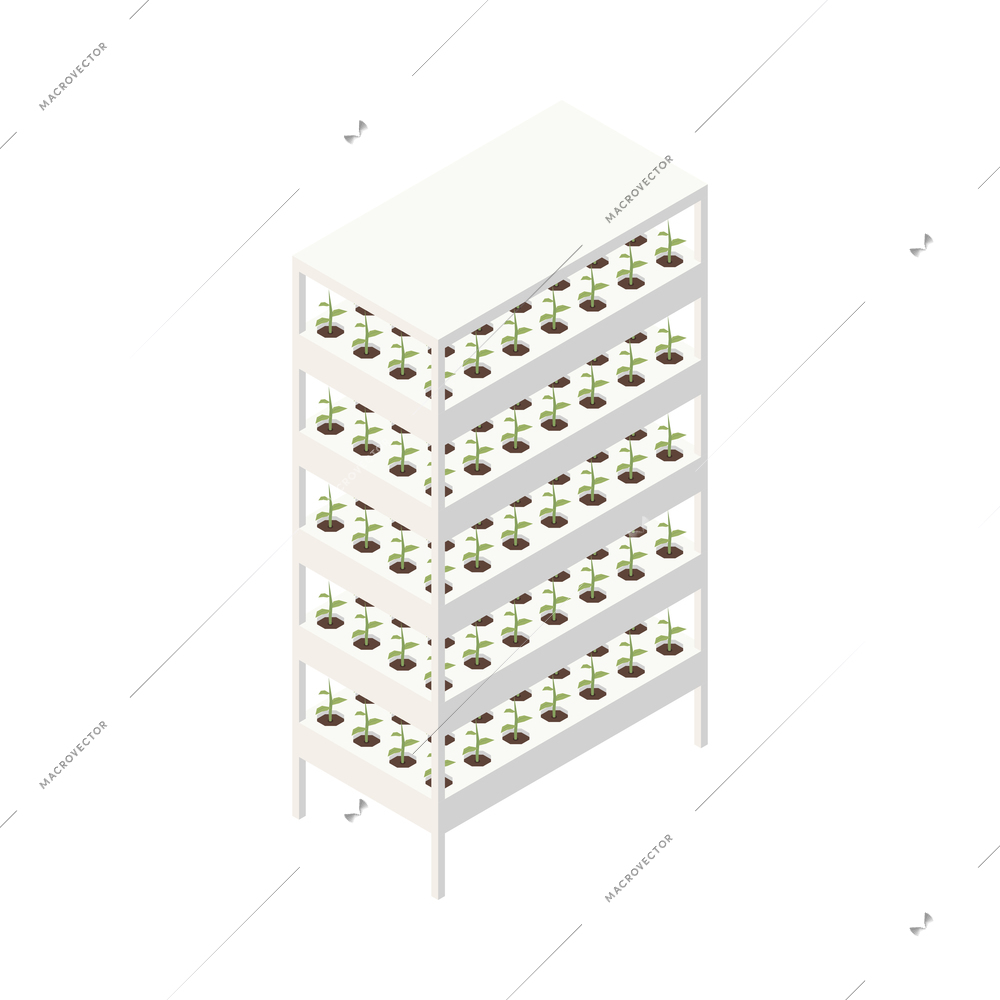 Modern greenhouse vertical farming isometric composition with isolated image of corner rack with growing plants vector illustration
