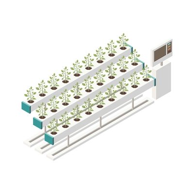 Modern greenhouse vertical farming isometric composition with isolated image of horizontal rows of pots with plants vector illustration