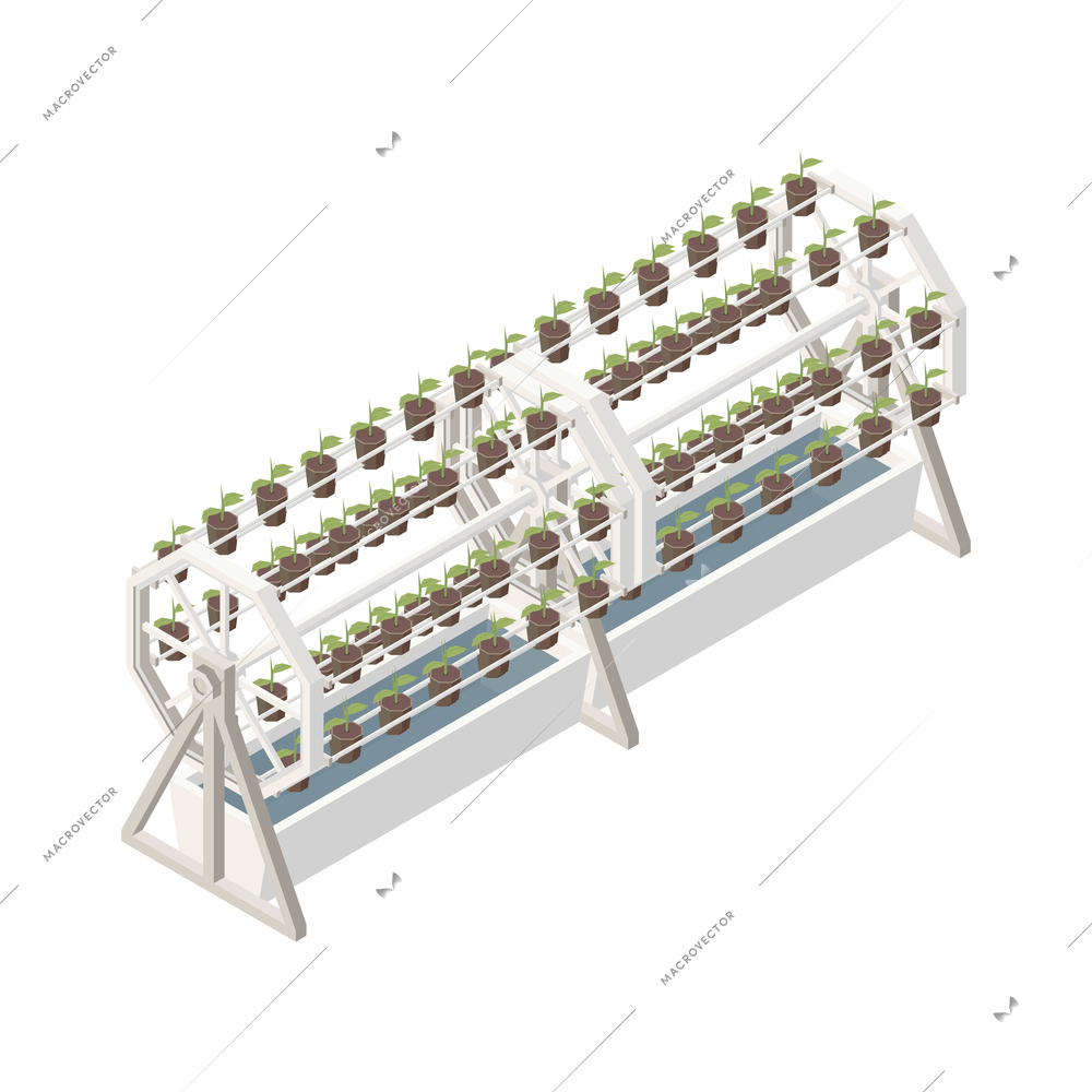 Modern greenhouse vertical farming isometric composition with isolated image of cylinder racks with growing plants vector illustration