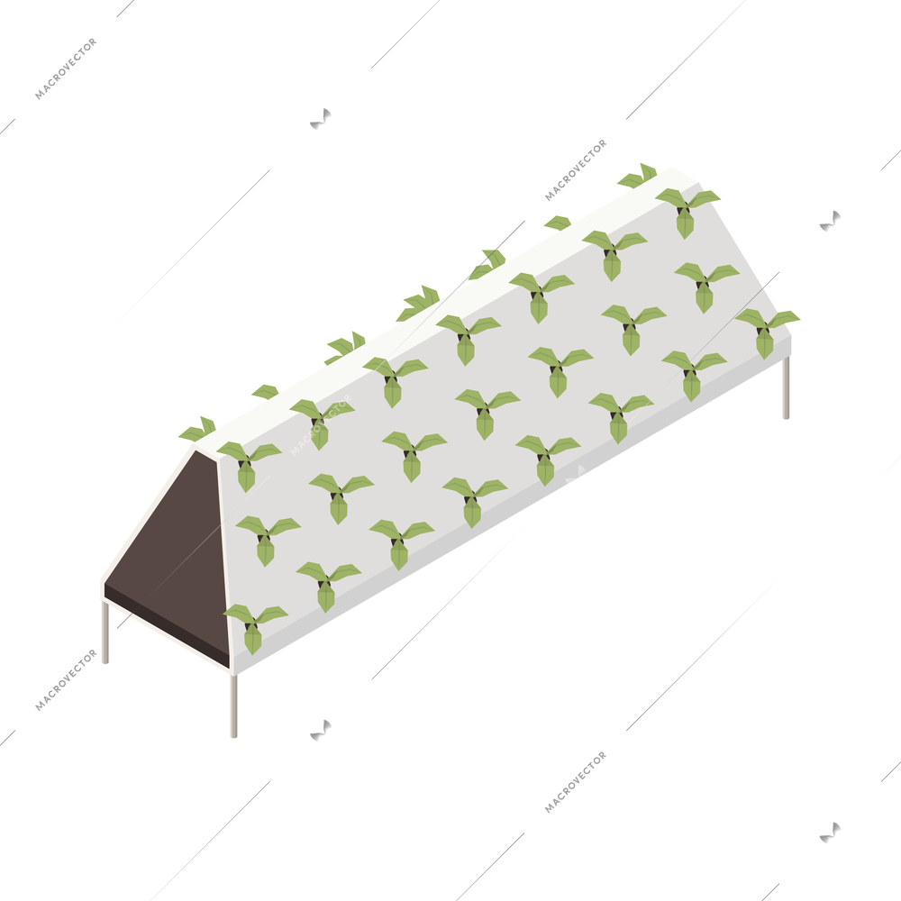 Modern greenhouse vertical farming isometric composition with isolated image of pyramid stack of growing plants vector illustration