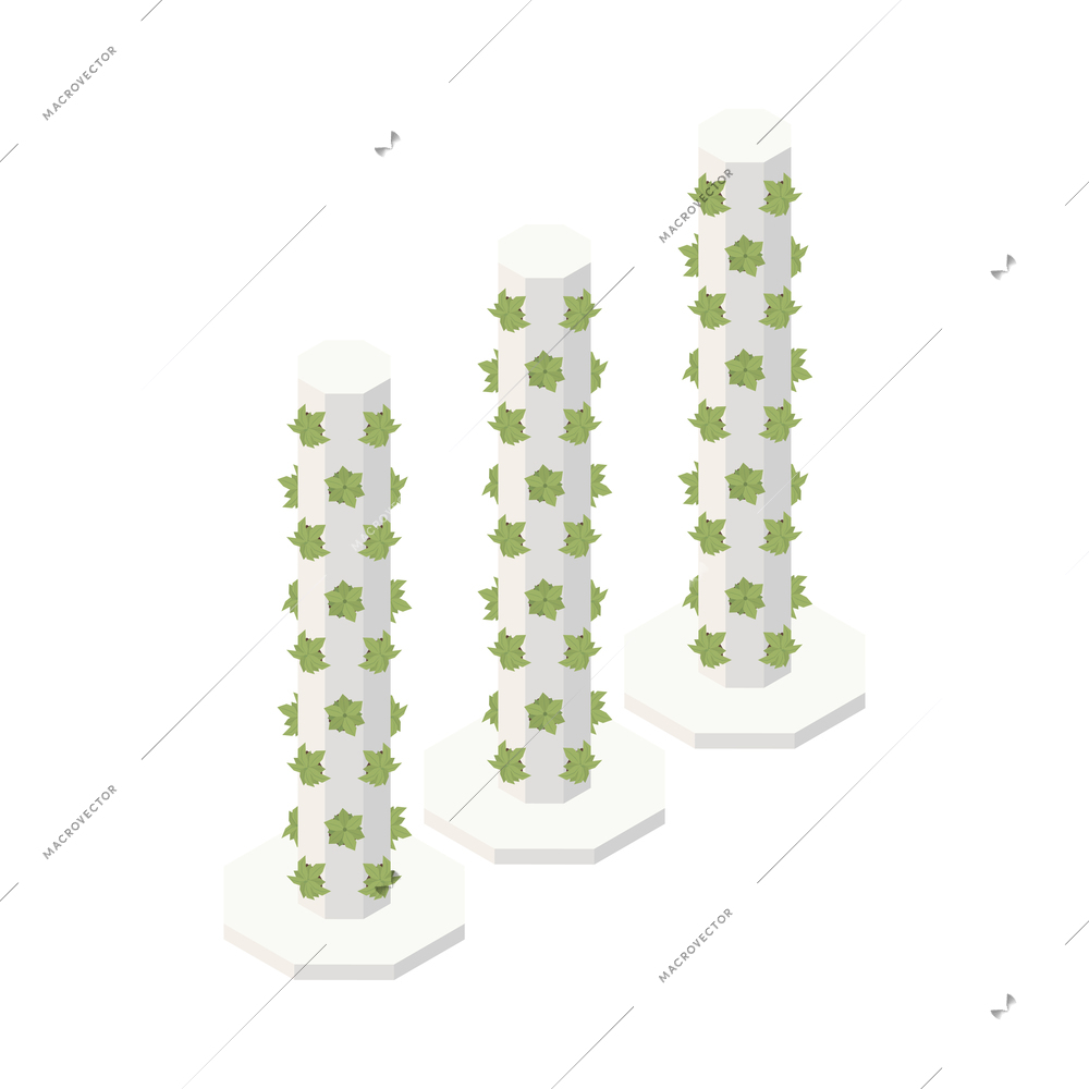 Modern greenhouse vertical farming isometric composition with isolated image of column stacks of growing plants vector illustration