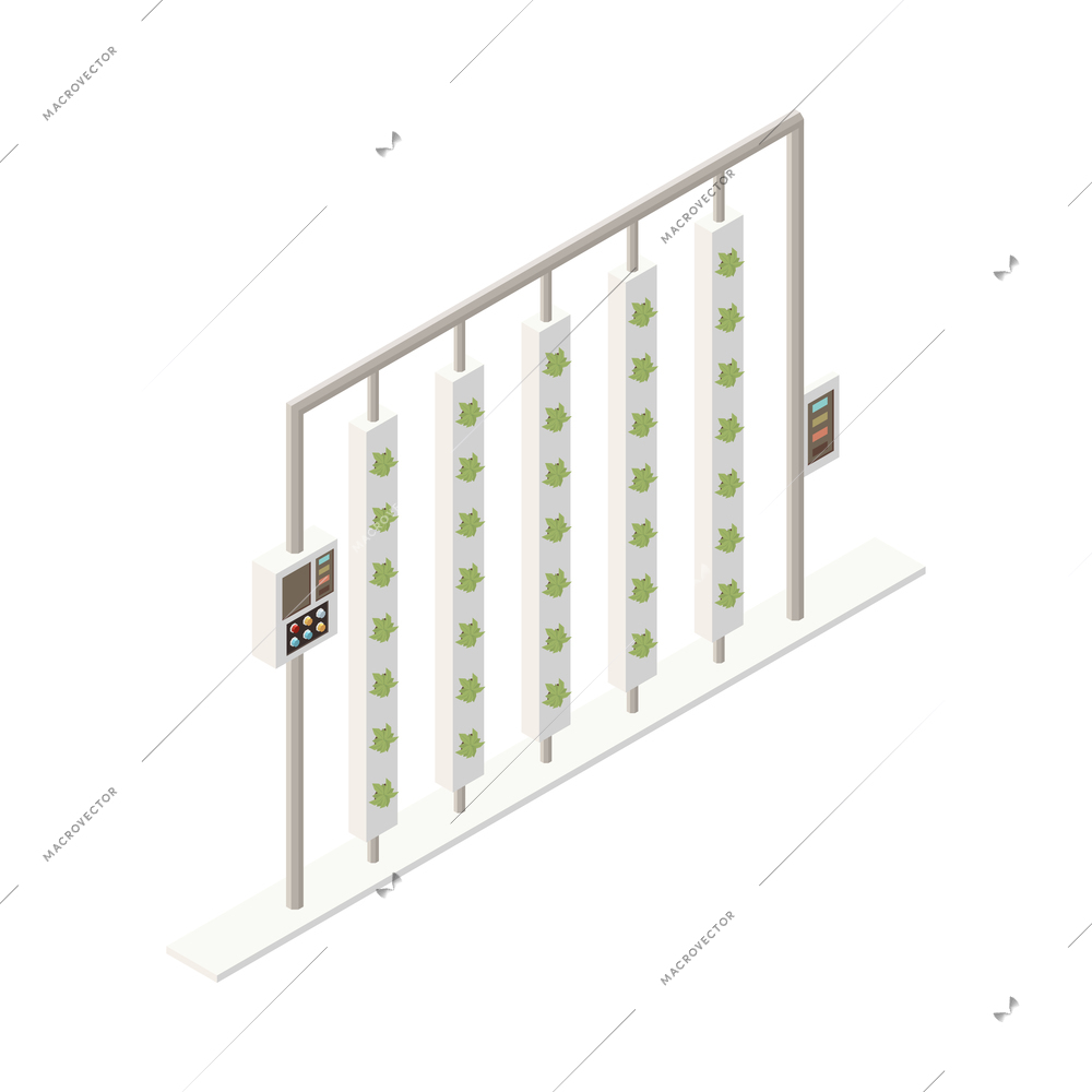 Modern greenhouse vertical farming isometric composition with isolated image of frame stack with growing plants vector illustration