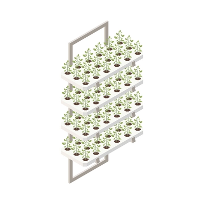 Modern greenhouse vertical farming isometric composition with isolated image of growing plants on frame vector illustration