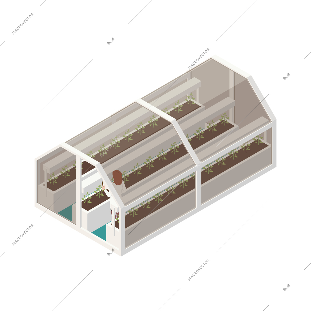 Modern greenhouse vertical farming isometric composition with isolated image of hothouse building with worker vector illustration
