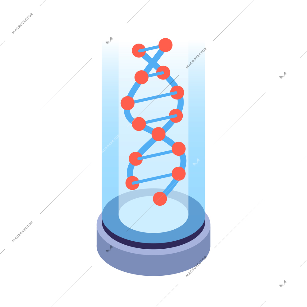 Isometric human cloning dna research science laboratory composition with glass tube containing dna structure molecule vector illustration