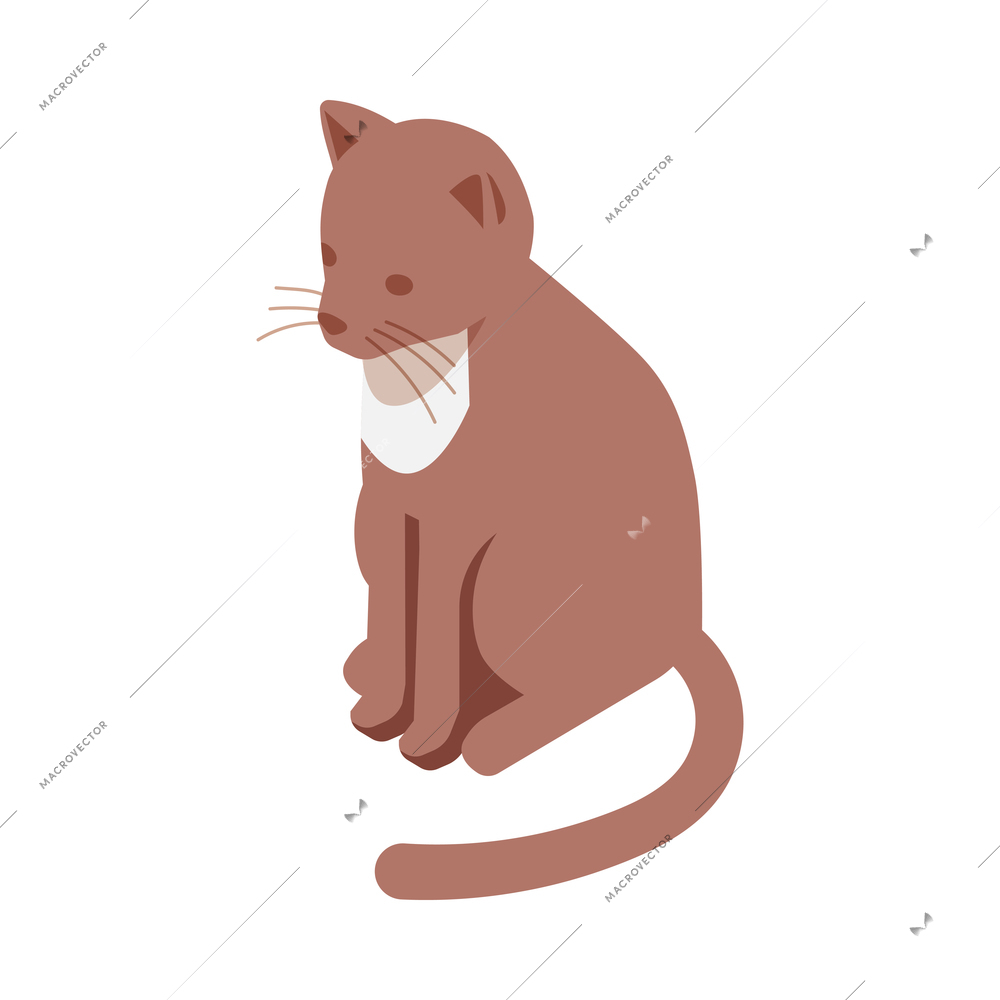 Isometric allergy composition with isolated image of cat on blank background vector illustration