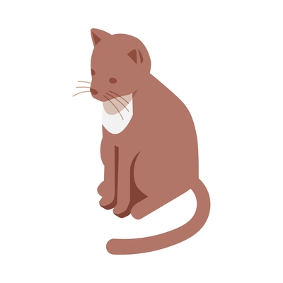 Isometric allergy composition with isolated image of cat on blank background vector illustration