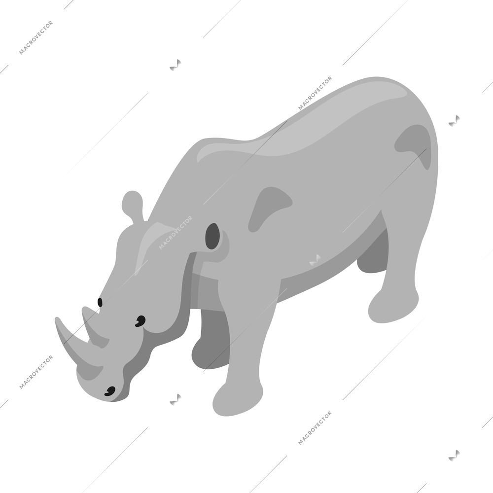 Isometric safari composition with isolated image of rhinoceros wild animal on blank background vector illustration