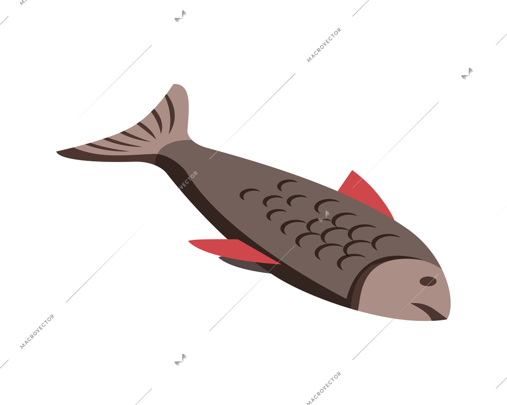 Isometric allergy composition with isolated image of fish on blank background vector illustration