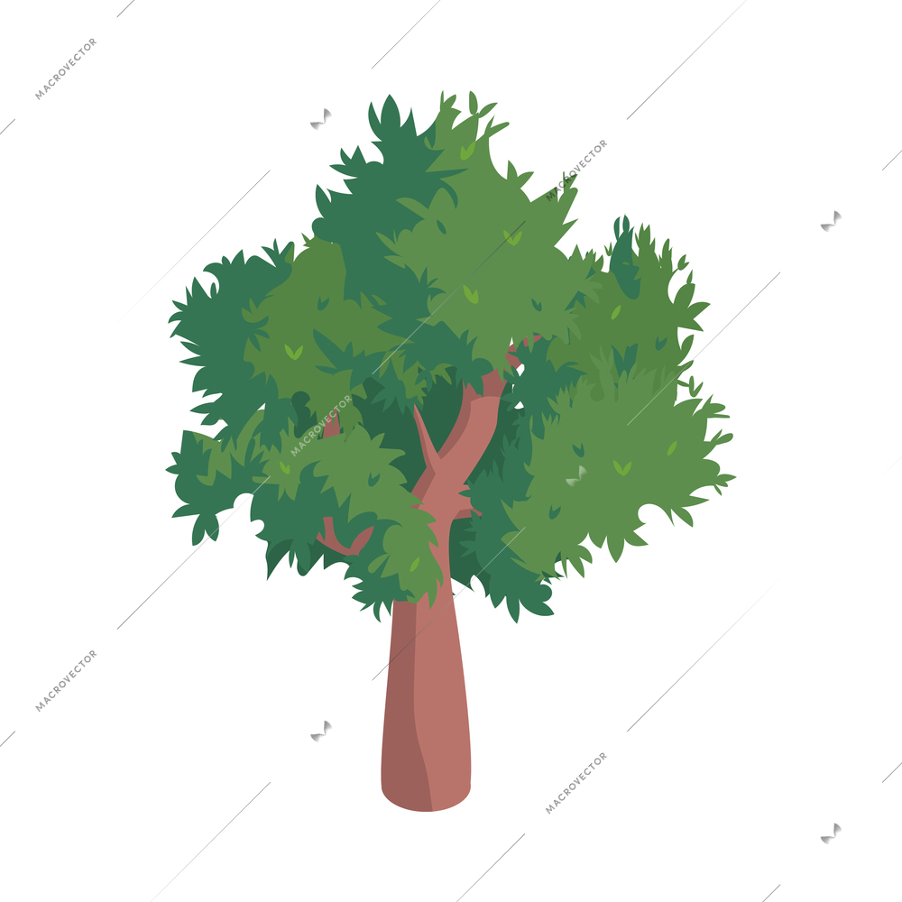 Isometric city park elements composition with isolated image of eucalyptus tree on blank background vector illustration