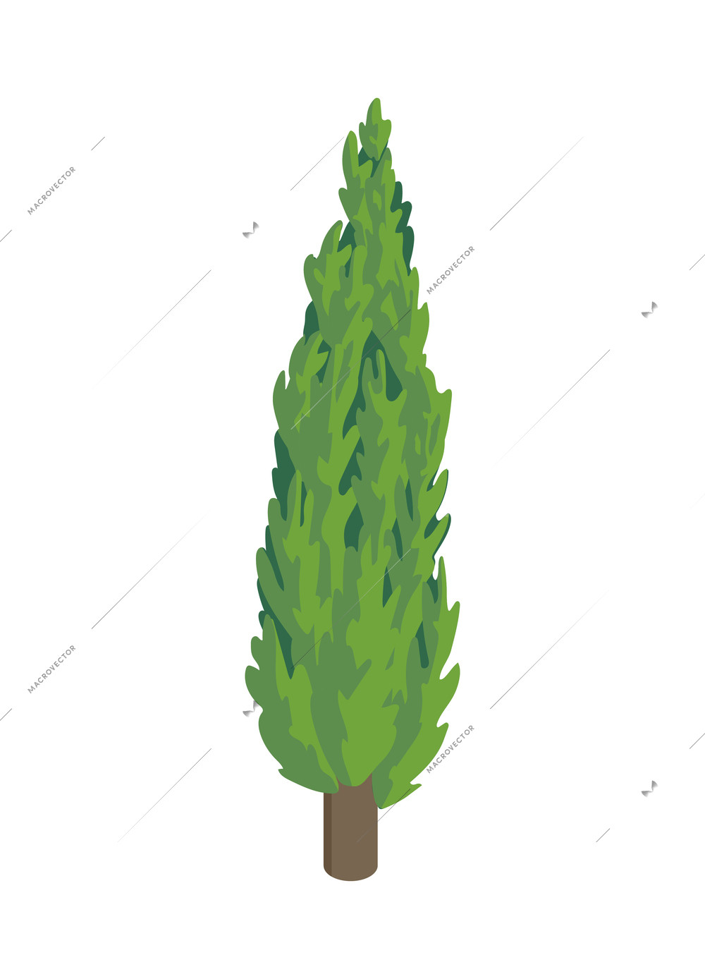 Isometric city park elements composition with isolated image of cypress tree on blank background vector illustration