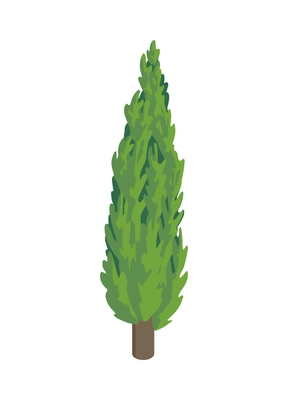 Isometric city park elements composition with isolated image of cypress tree on blank background vector illustration