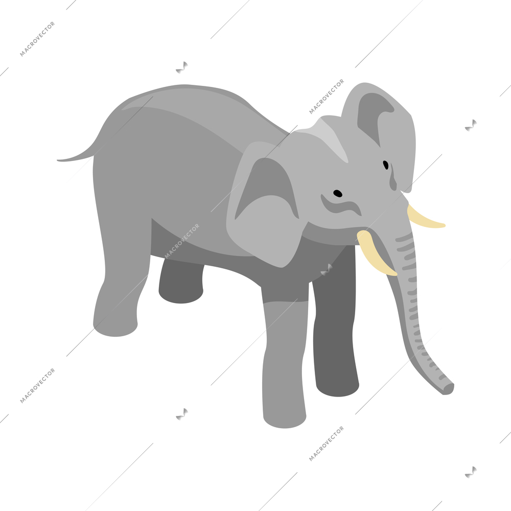 Isometric safari composition with isolated image of elephant wild animal on blank background vector illustration