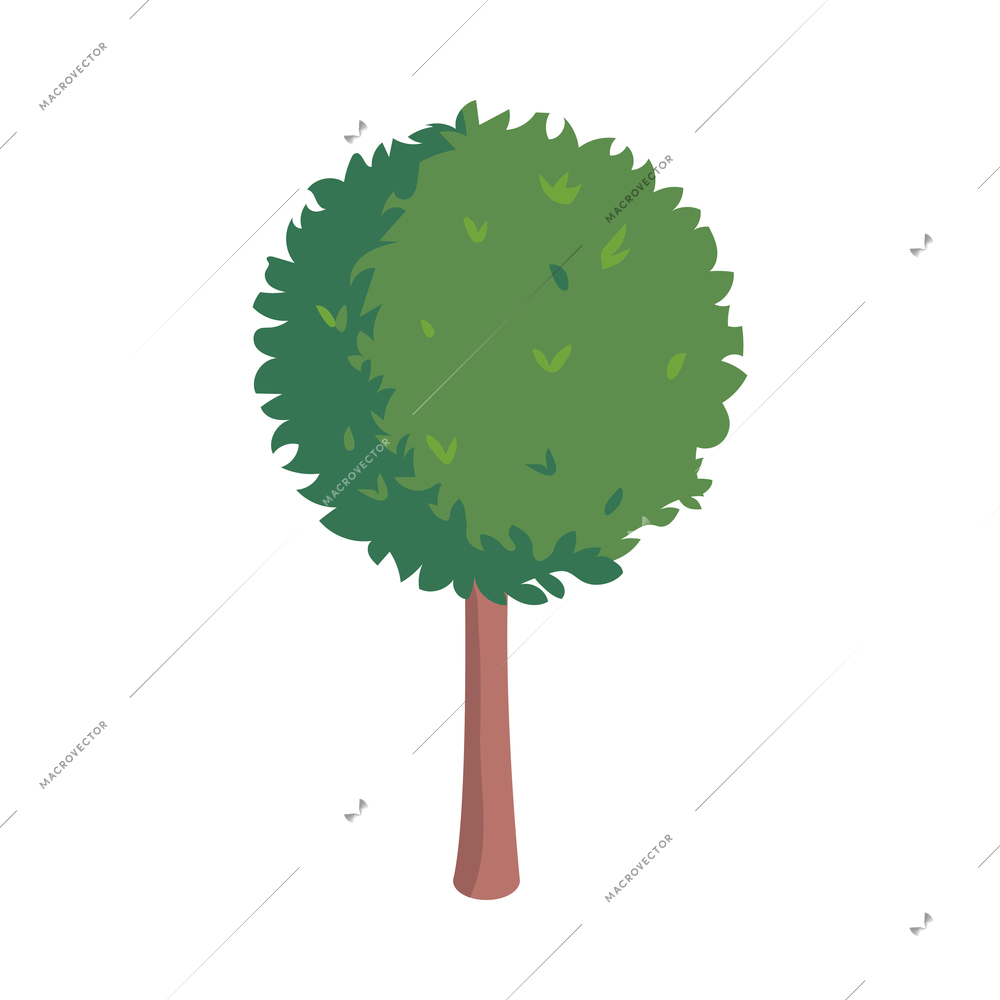 Isometric city park elements composition with isolated image of oak tree on blank background vector illustration