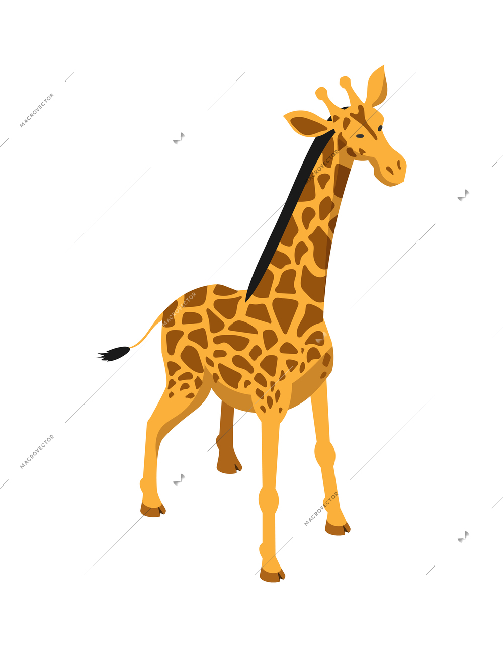 Isometric safari composition with isolated image of giraffe wild animal on blank background vector illustration