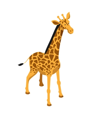 Isometric safari composition with isolated image of giraffe wild animal on blank background vector illustration