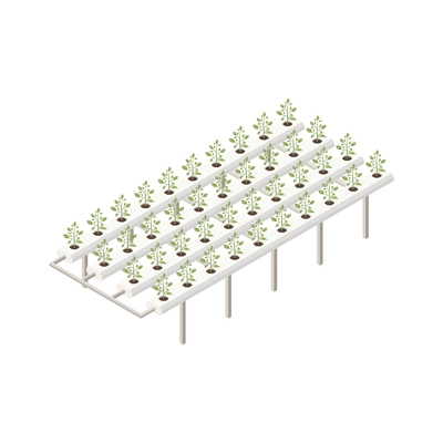 Modern greenhouse vertical farming isometric composition with isolated image of horizontal racks with growing plants vector illustration