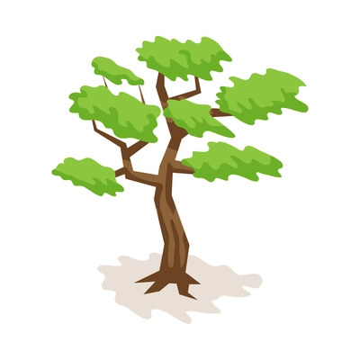 Isometric safari composition with isolated image of bonsai tree on blank background vector illustration