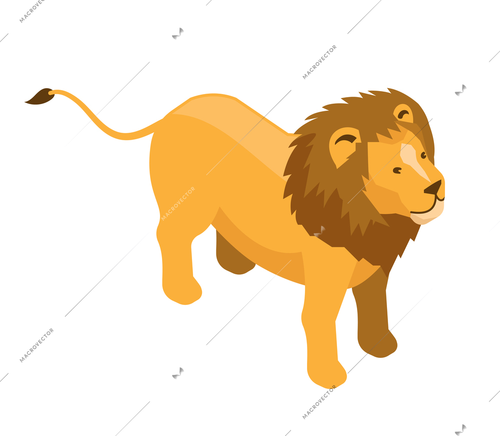 Isometric safari composition with isolated image of lion wild animal on blank background vector illustration