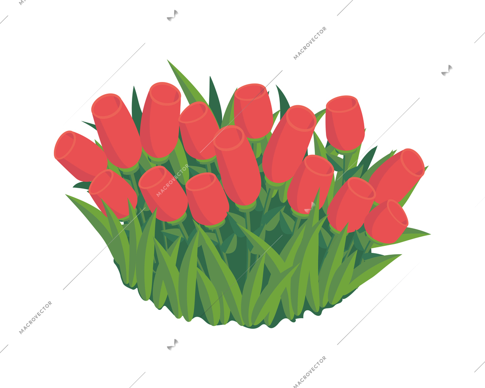 Isometric city park elements composition with isolated image of flowerbed with red tulips on blank background vector illustration