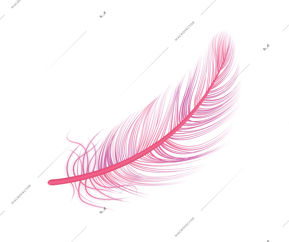 Realistic feather white background composition with isolated image of bird feather vector illustration