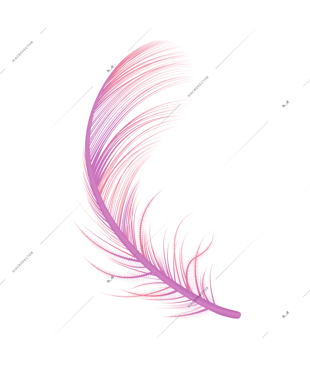 Realistic feather white background composition with isolated image of bird feather vector illustration