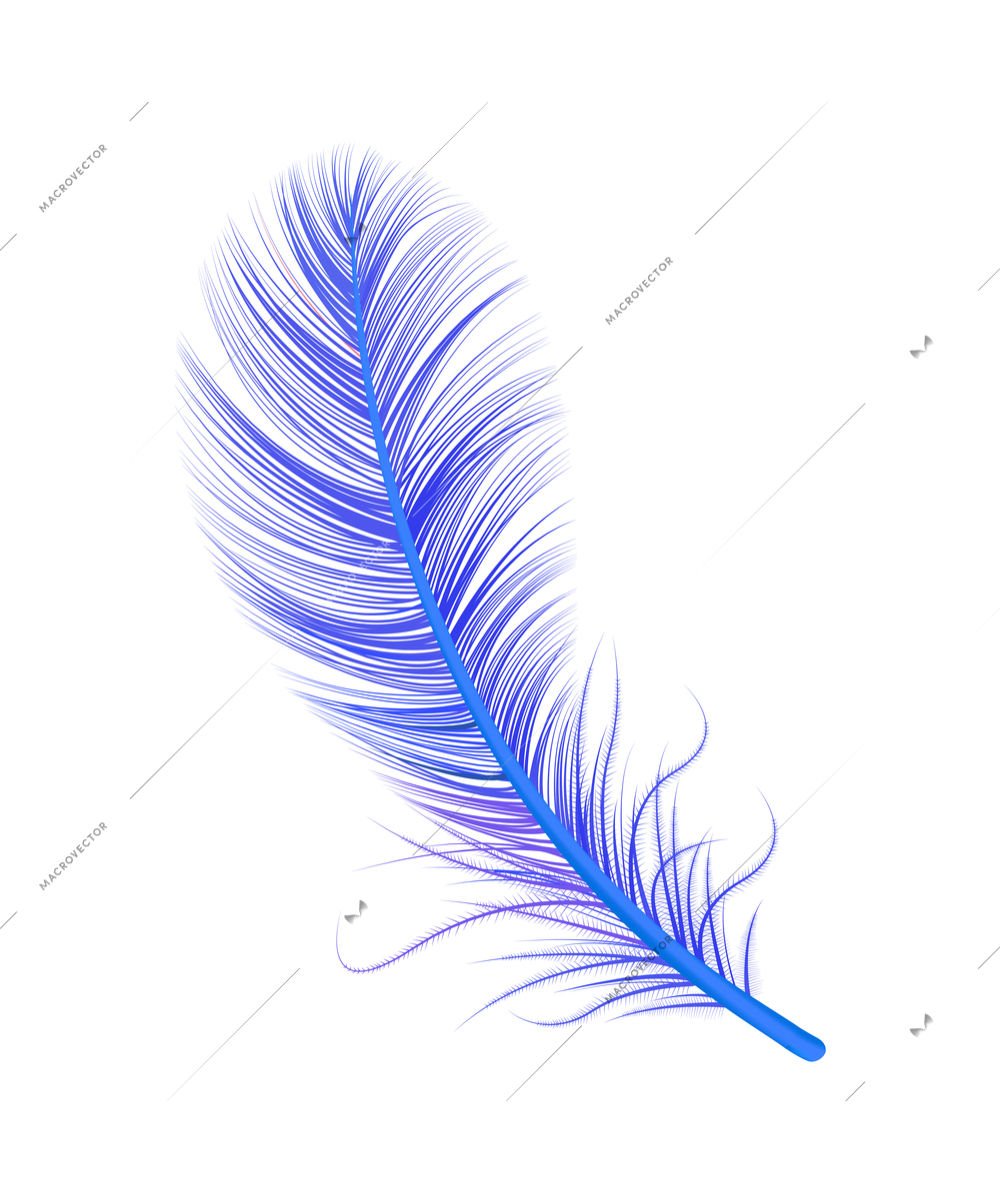 Realistic feather white background composition with isolated image of bird feather vector illustration