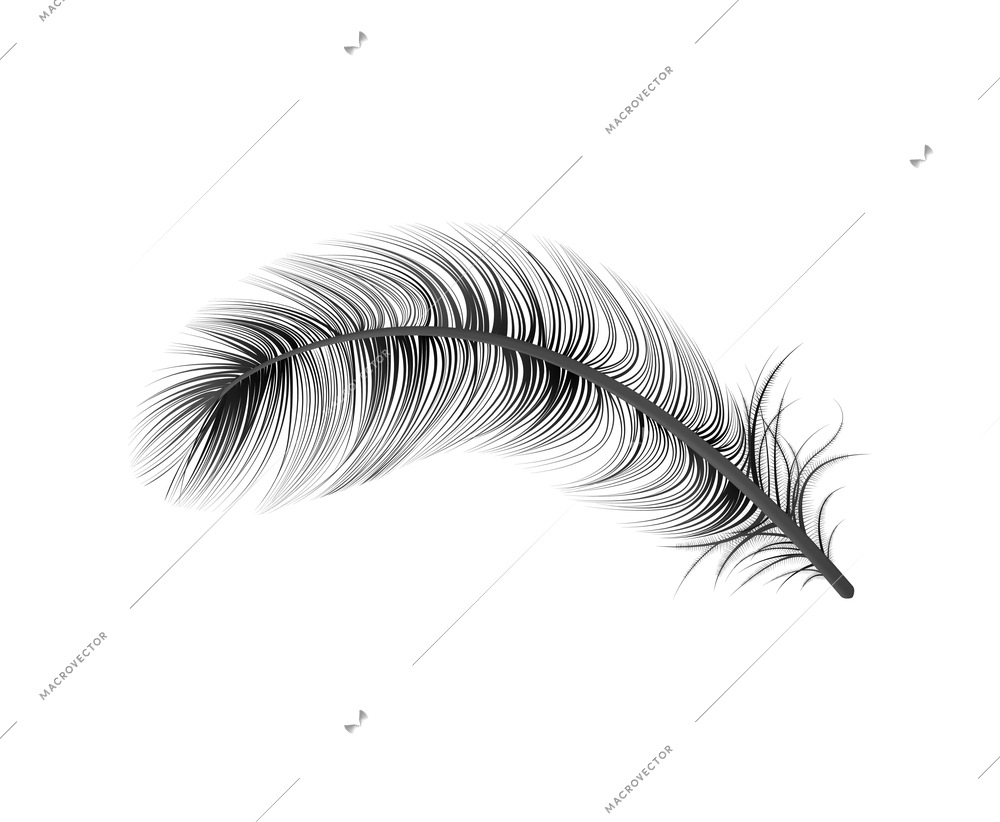 Realistic feather white background composition with isolated image of bird feather vector illustration