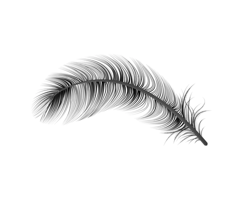 Realistic feather white background composition with isolated image of bird feather vector illustration