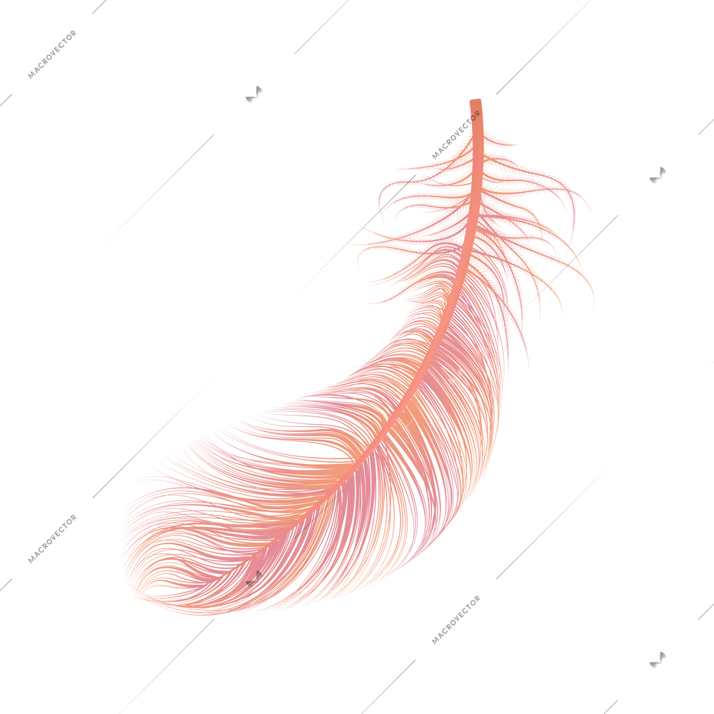 Realistic feather white background composition with isolated image of bird feather vector illustration