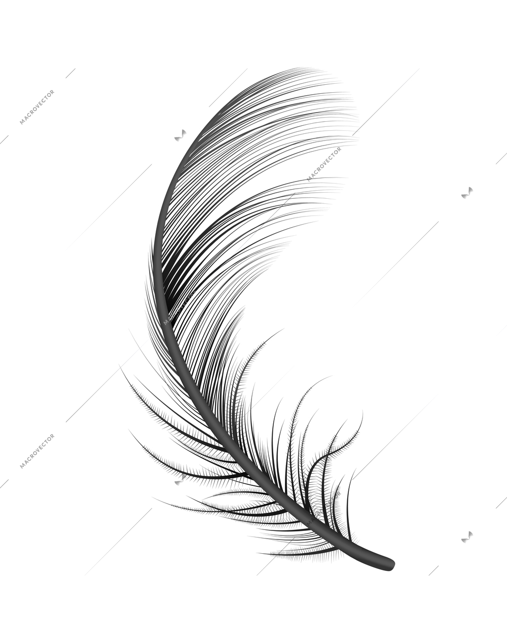 Realistic feather white background composition with isolated image of bird feather vector illustration