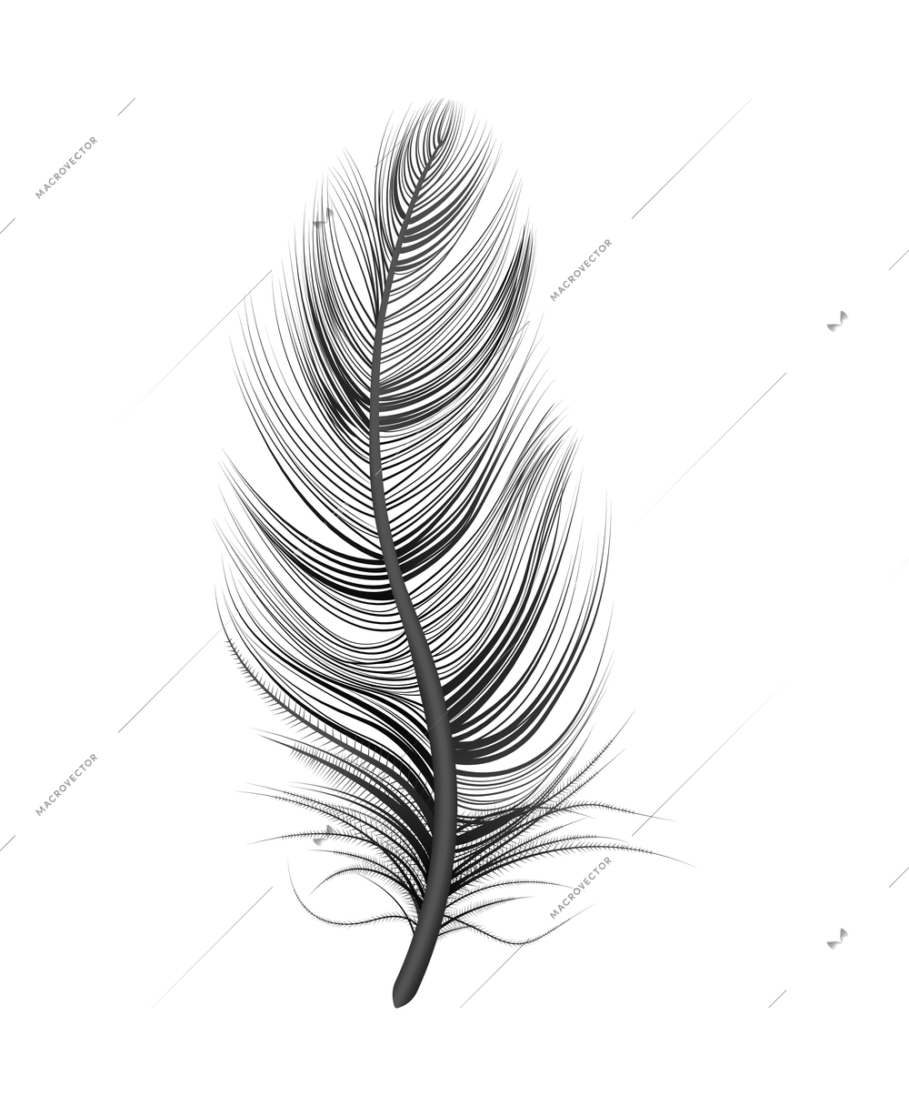 Realistic feather white background composition with isolated image of bird feather vector illustration