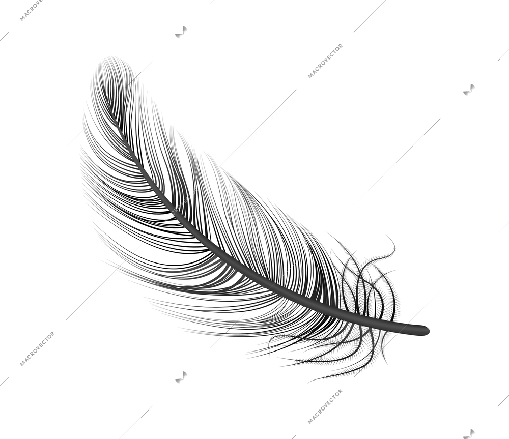 Realistic feather white background composition with isolated image of bird feather vector illustration