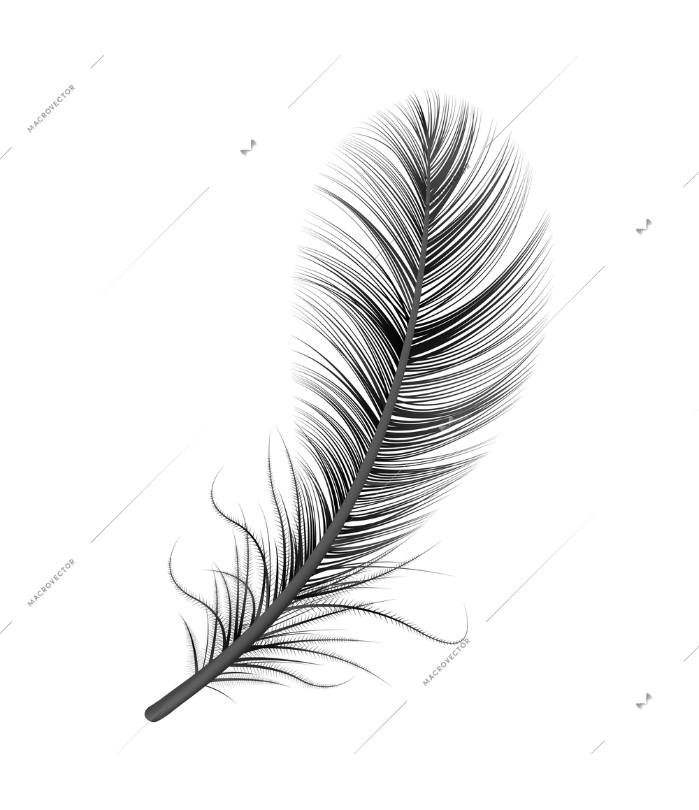 Realistic feather white background composition with isolated image of bird feather vector illustration