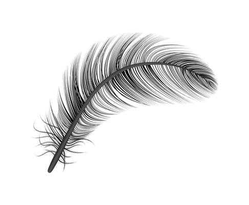 Realistic feather white background composition with isolated image of bird feather vector illustration