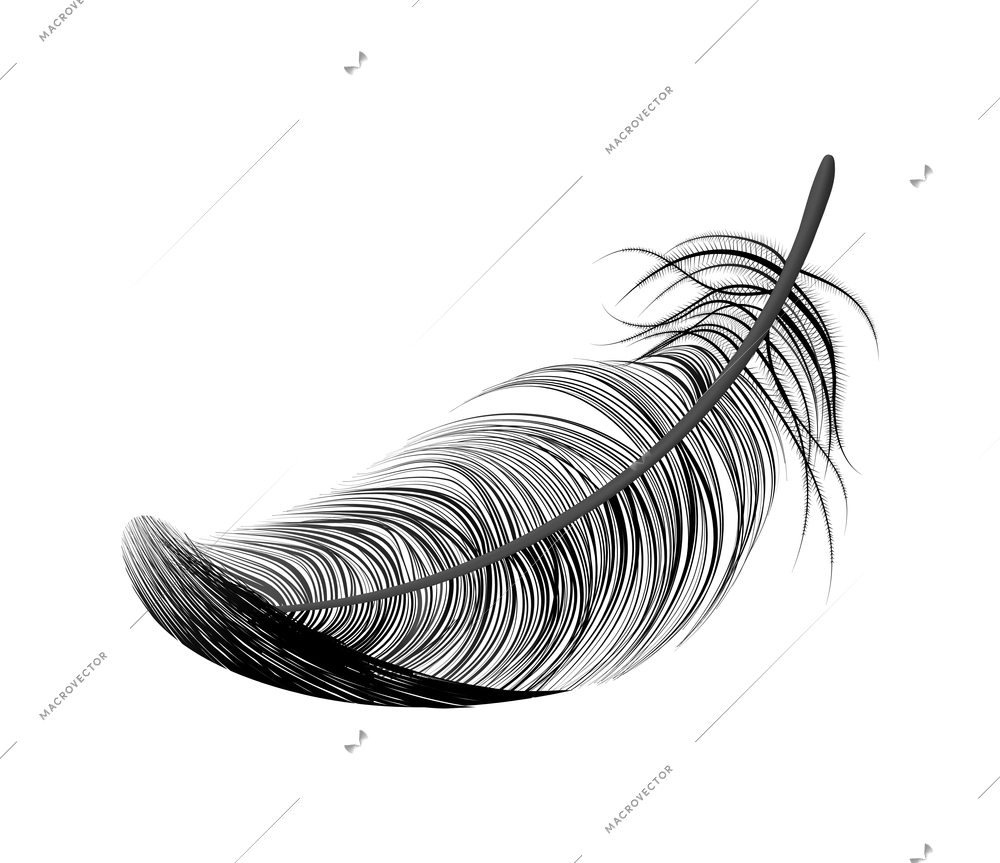 Realistic feather white background composition with isolated image of bird feather vector illustration