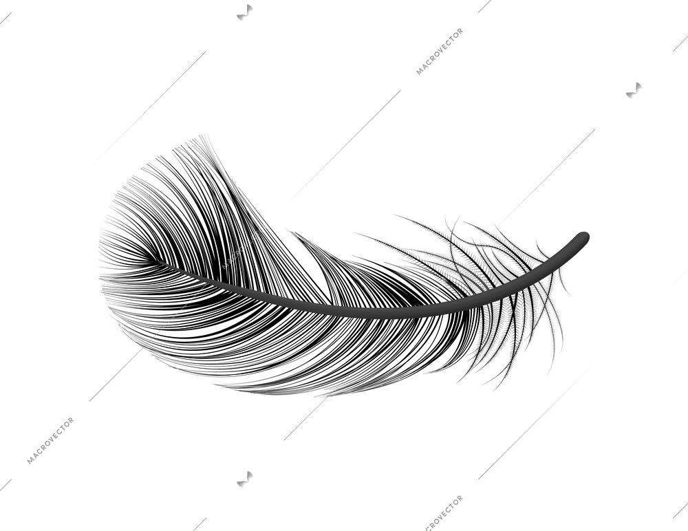 Realistic feather white background composition with isolated image of bird feather vector illustration