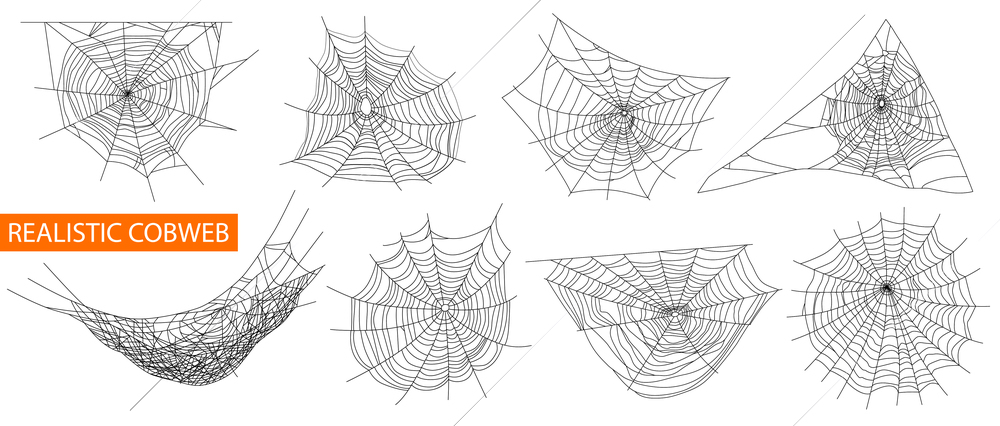 Cobweb realistic set with scary spider symbols isolated vector illustration