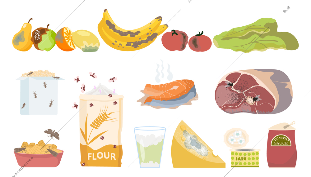 Danger food rotten poison set with flat isolated icons of expired products with mould and insects vector illustration